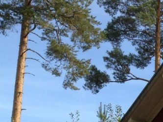 Affären och bagarstugan